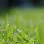 カジノで包茎治療代を稼いだぞ！