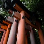 神社の謎を解き明かす！日本全国の神社の歴史と意義